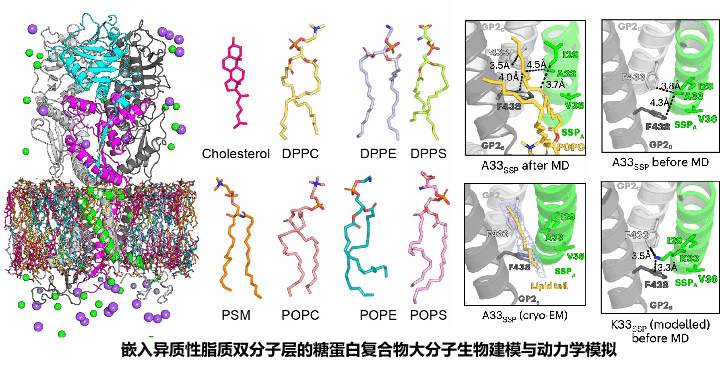 图片3.png 图片3.png